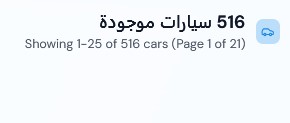 مشاهدات الصفحات